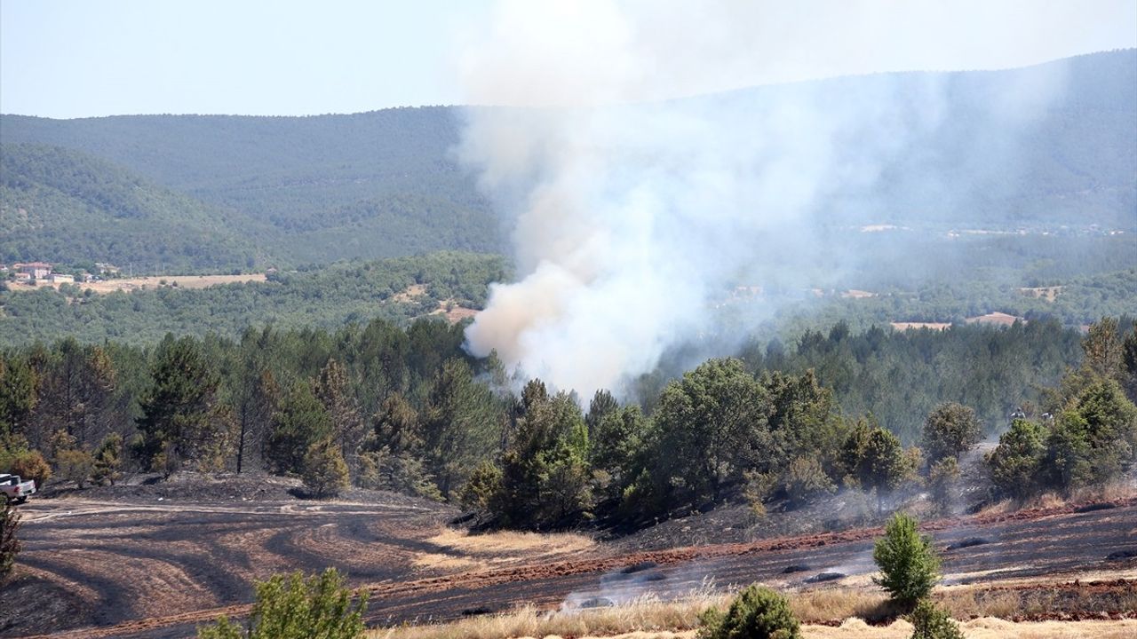 Kastamonu'da Tarım Arazisinde Başlayan Yangın Ormana Sıçradı