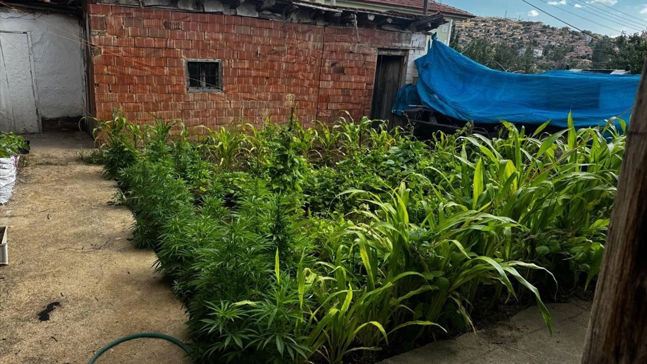 Kırıkkale'de İki Uyuşturucu Operasyonunda 5 Zanlı Yakalandı