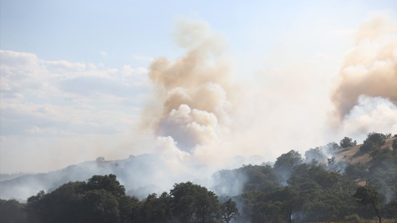 Kırklareli Kofçaz'da Orman Yangınına Hızla Müdahale Ediliyor
