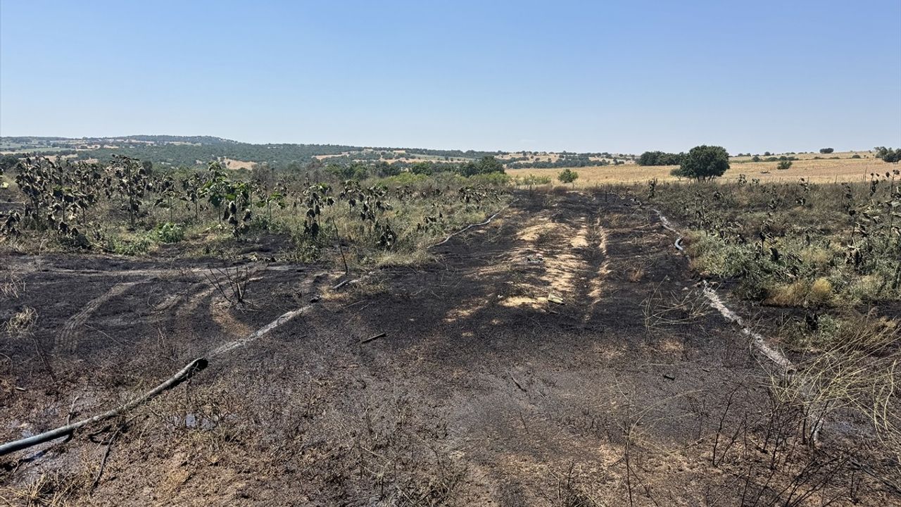 Kırklareli'nde 20 Dekar Ceviz Bahçesi Yangında Zarar Gördü