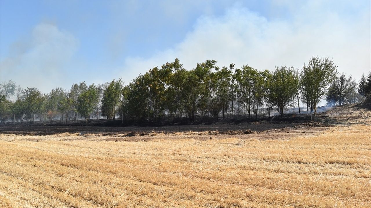 Kırklareli'nde Anız Yangını Kontrol Altına Alındı
