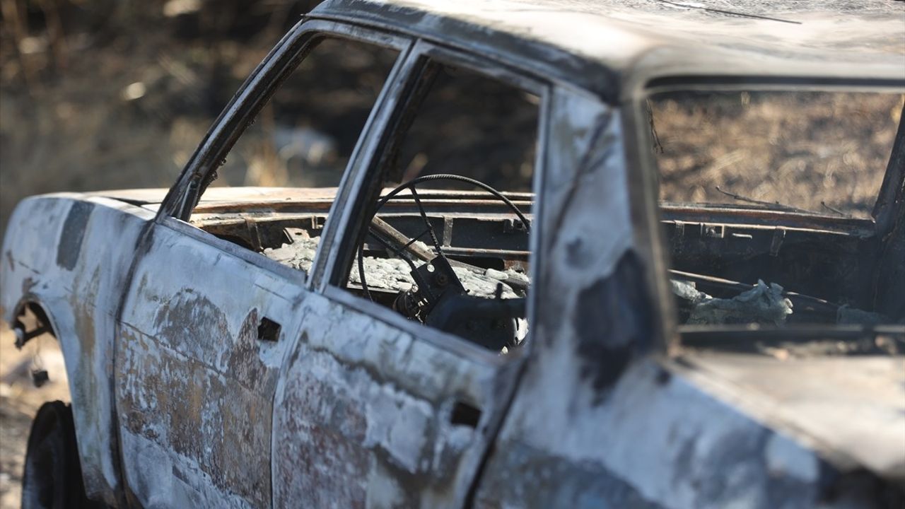 Kırklareli'nde Hızla Yayılan Orman Yangınına Müdahale Devam Ediyor
