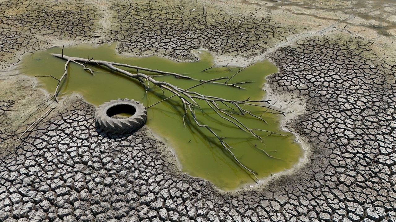 Kırklareli'nde Müsellim Göleti'nde Balık Ölümleri Yaşandı