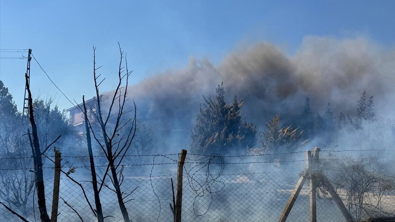 Kırklareli'nde Tarım Arazisinden Ormanlık Alana Sıçrayan Yangına Mücadele