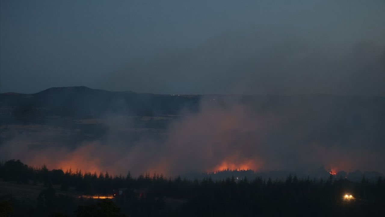 Kırklareli'ndeki Orman Yangını Kontrol Altına Alındı