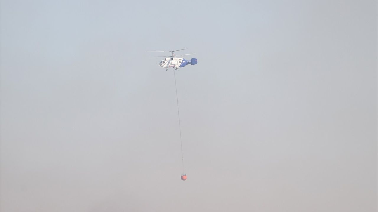 Kırklareli'ndeki Tarım Arazisinden Ormanlık Alana Sıçrayan Yangın Kontrol Altına Alındı