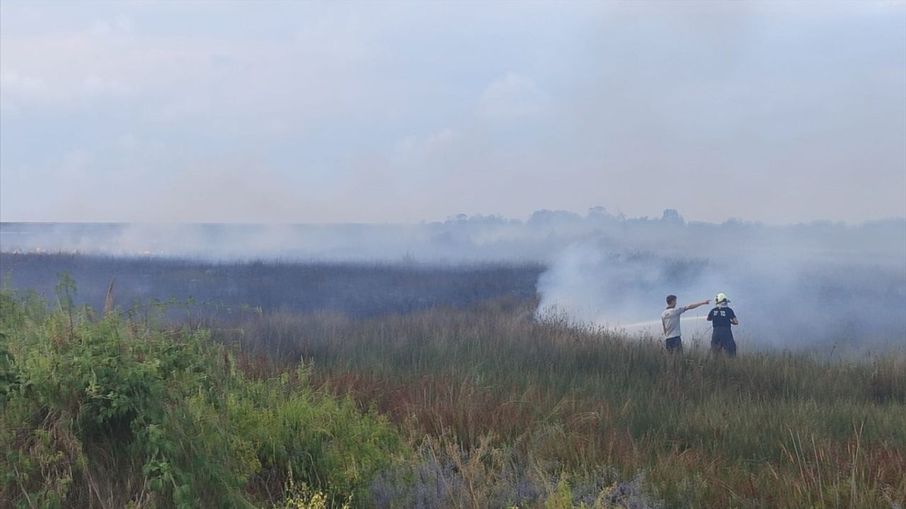 Kızılırmak Deltası Kuş Cenneti'ndeki Yangın Kontrol Altına Alındı