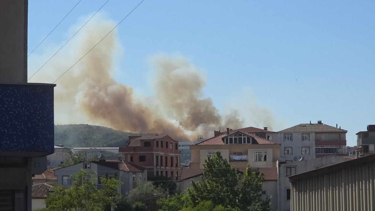 Kocaeli'de Ağaçlık Alanda Yangın Çıktı, Müdahale Devam Ediyor