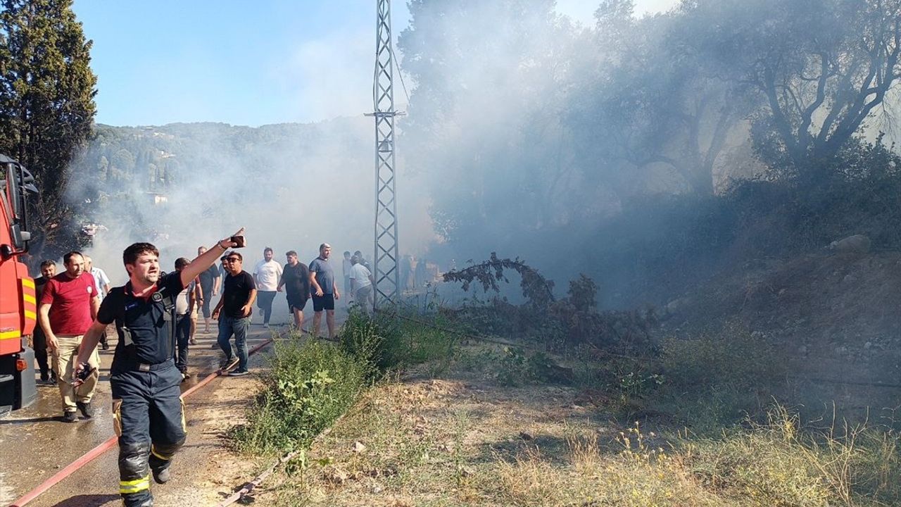 Kocaeli'de Orman Yangınına Müdahale Devam Ediyor