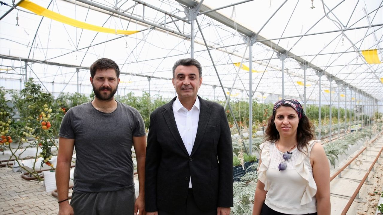 Kocaeli'de Yağmur Suyu ile Topraksız Tarım Uygulaması