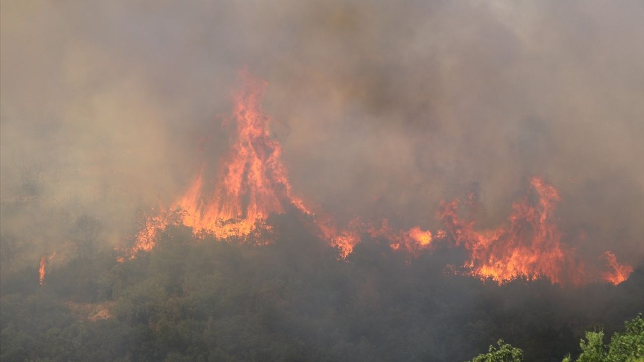 Kocaeli'de Yangın: Derince'deki Makilik ve Ağaçlık Alanda Söndürme Çalışmaları Devam Ediyor