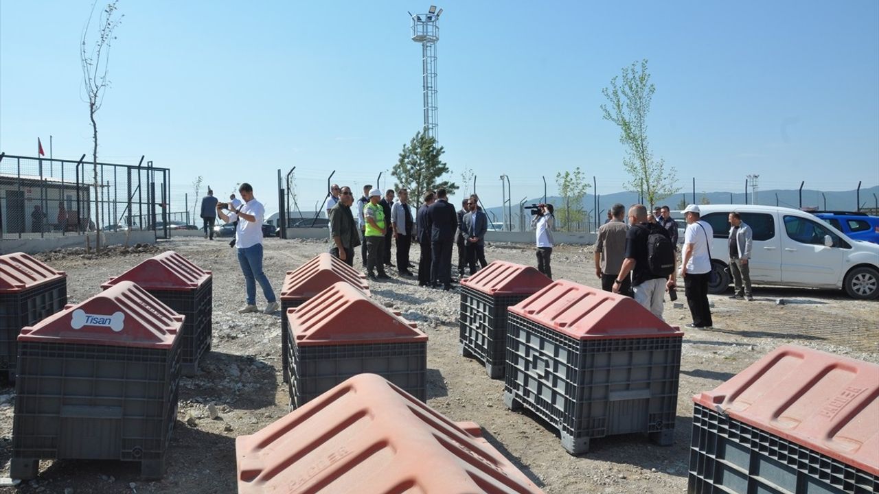 Kütahya'da 10 Bin Kapasiteli Sahipsiz Hayvanlar Doğal Yaşam Alanı Tamamlandı