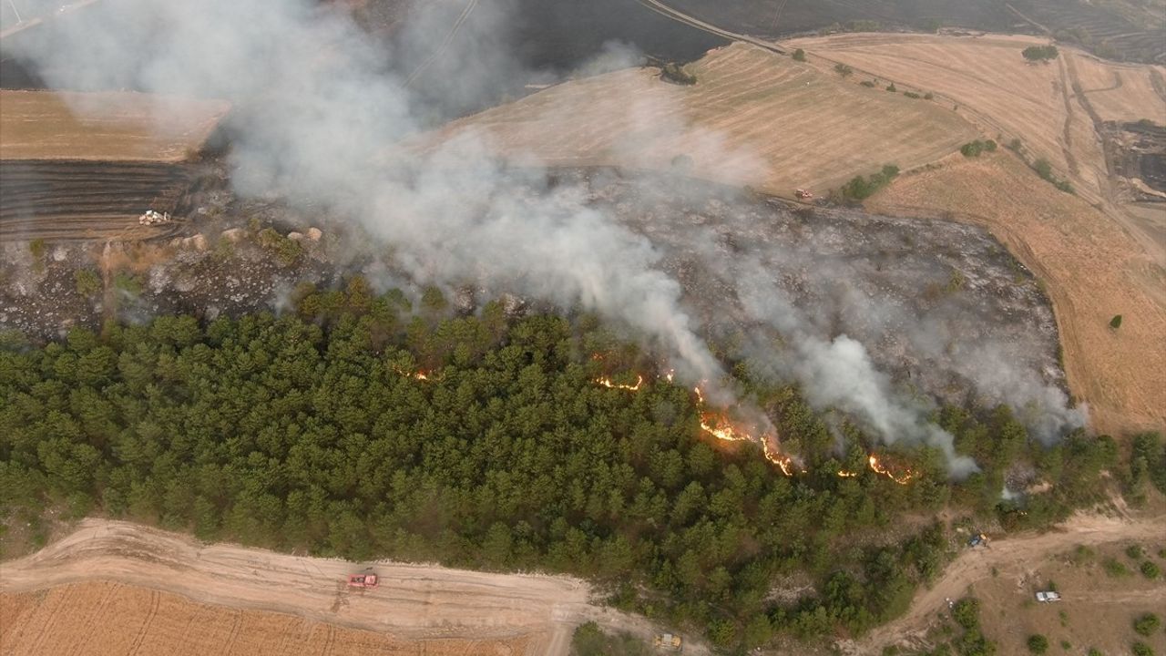 Kütahya'daki Orman Yangını Kontrol Altına Alındı