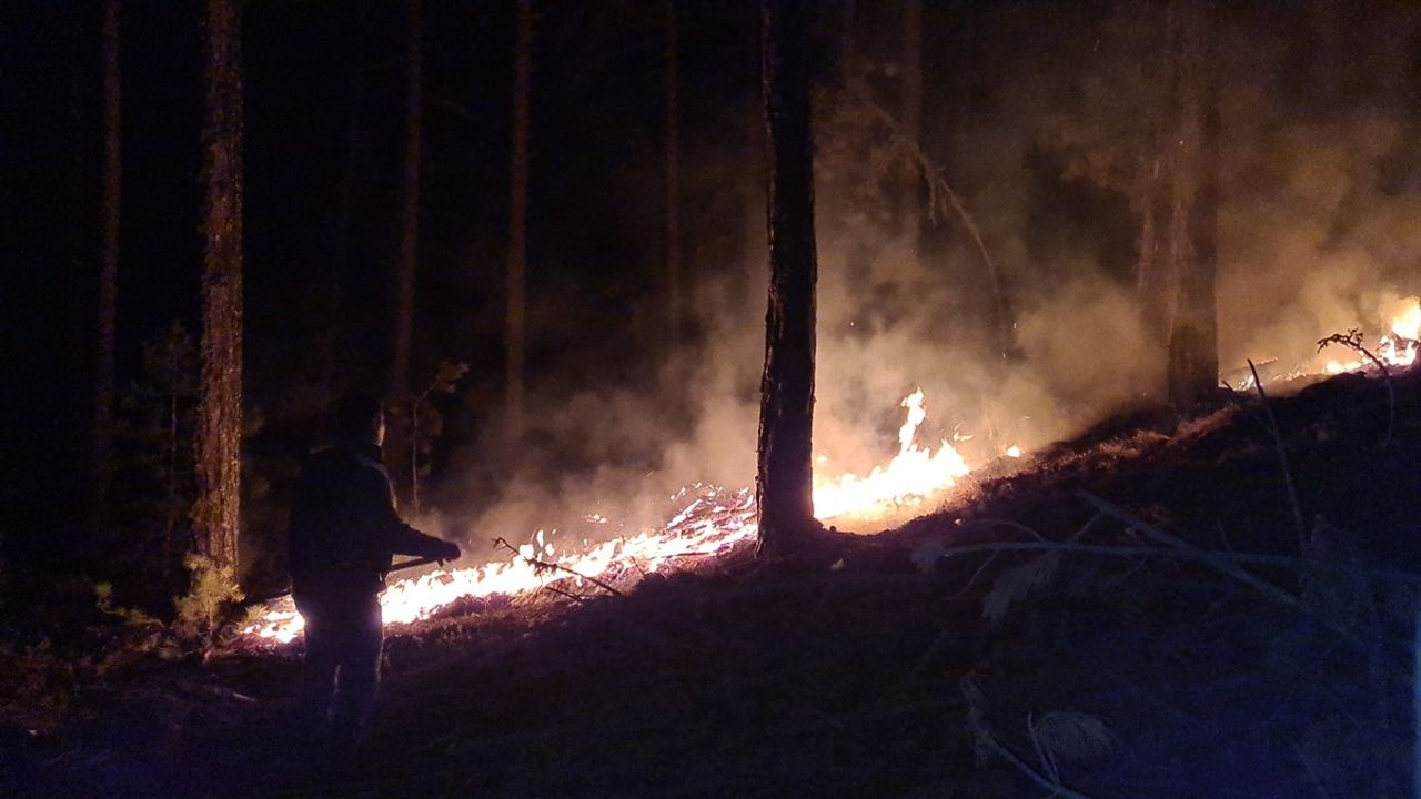 Kütahya'daki Yangın, Köylüler ve Orman Personeli İşbirliğiyle Kontrol Altına Alındı