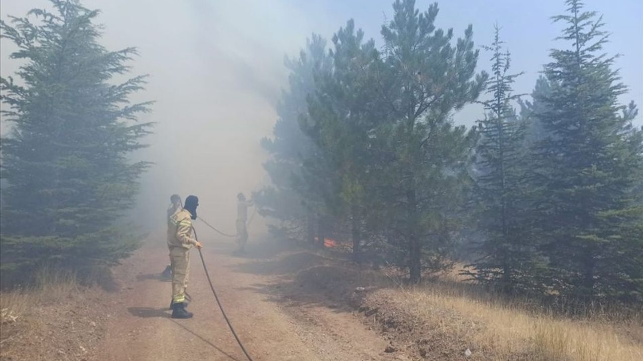 Malatya'nın Doğanşehir İlçesinde Orman Yangını Kontrol Altına Alındı