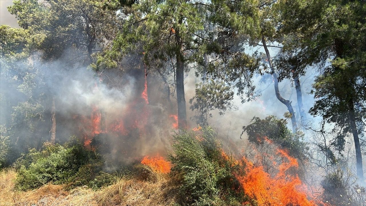 Manavgat'ta Orman Yangınına Müdahale Başlatıldı