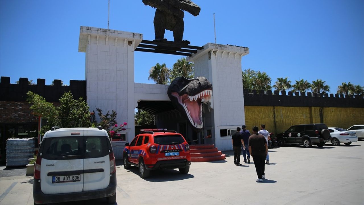 Manavgat'ta Yaralanan Aslanın Kaçtığı Hayvan Parkında Denetim Yapıldı