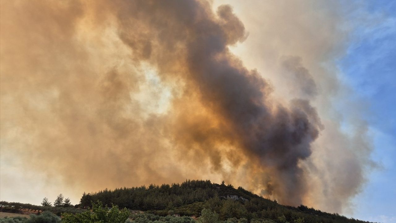 Manisa'da İki Orman Yangını: Biri Kontrol Altına Alındı, Diğeriyle Mücadele Sürüyor