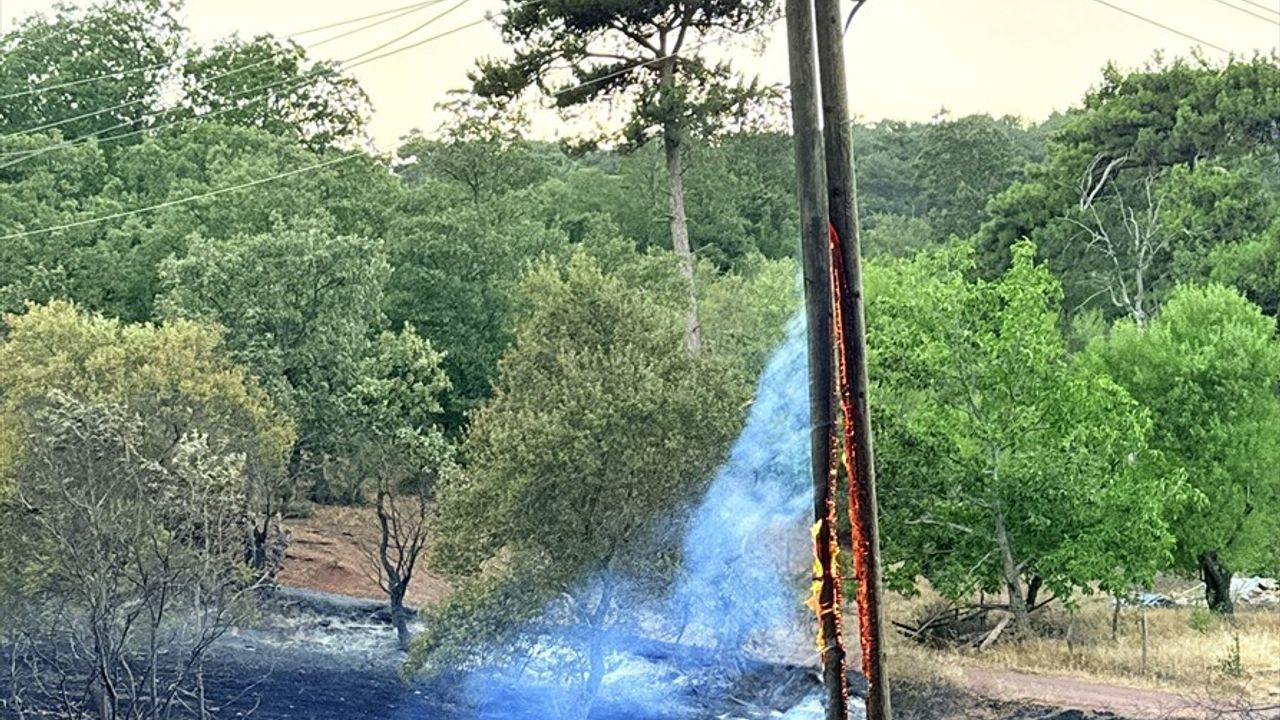 Manisa'da Orman Yangınına Hava ve Karadan Müdahele