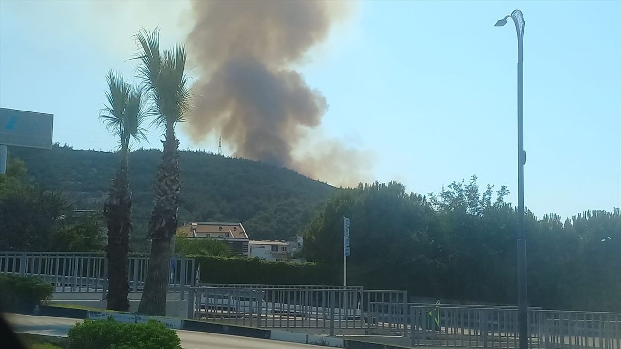 Manisa'da Orman Yangınına Havadan ve Karadan Müdahale