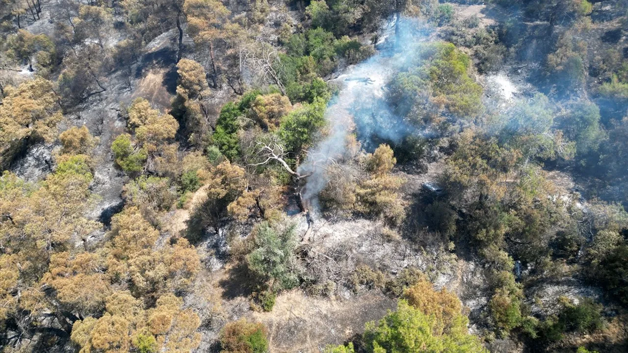 Manisa'daki Orman Yangınlarında Zarar Gören Alanlar Dronla Görüntülendi