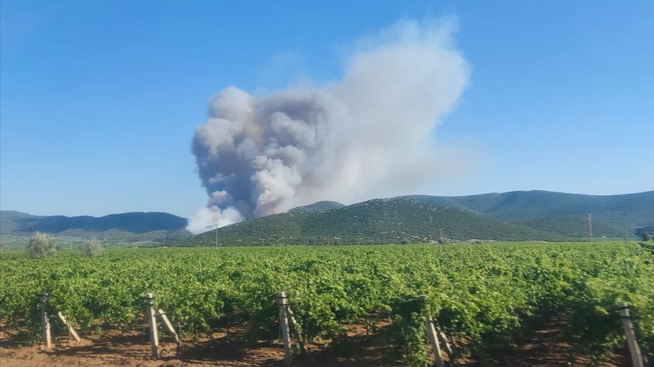 Manisa'nın Saruhanlı İlçesinde Orman Yangını: Havadan ve Karadan Müdahale Ediliyor