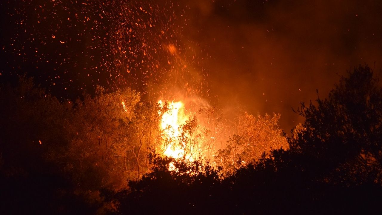 Manisa'nın Turgutlu İlçesinde Yangın Kontrol Altına Alındı