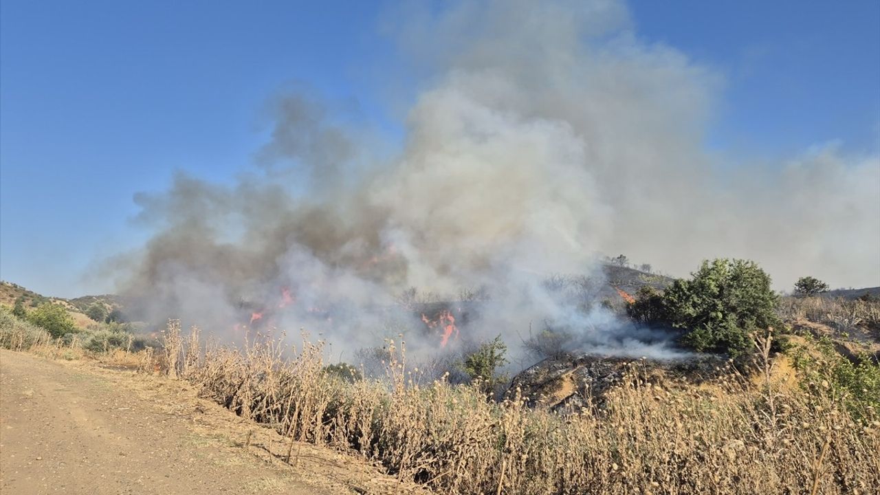 Manisa Turgutlu'da Makilik Alanda Yangına Müdahale Ediliyor