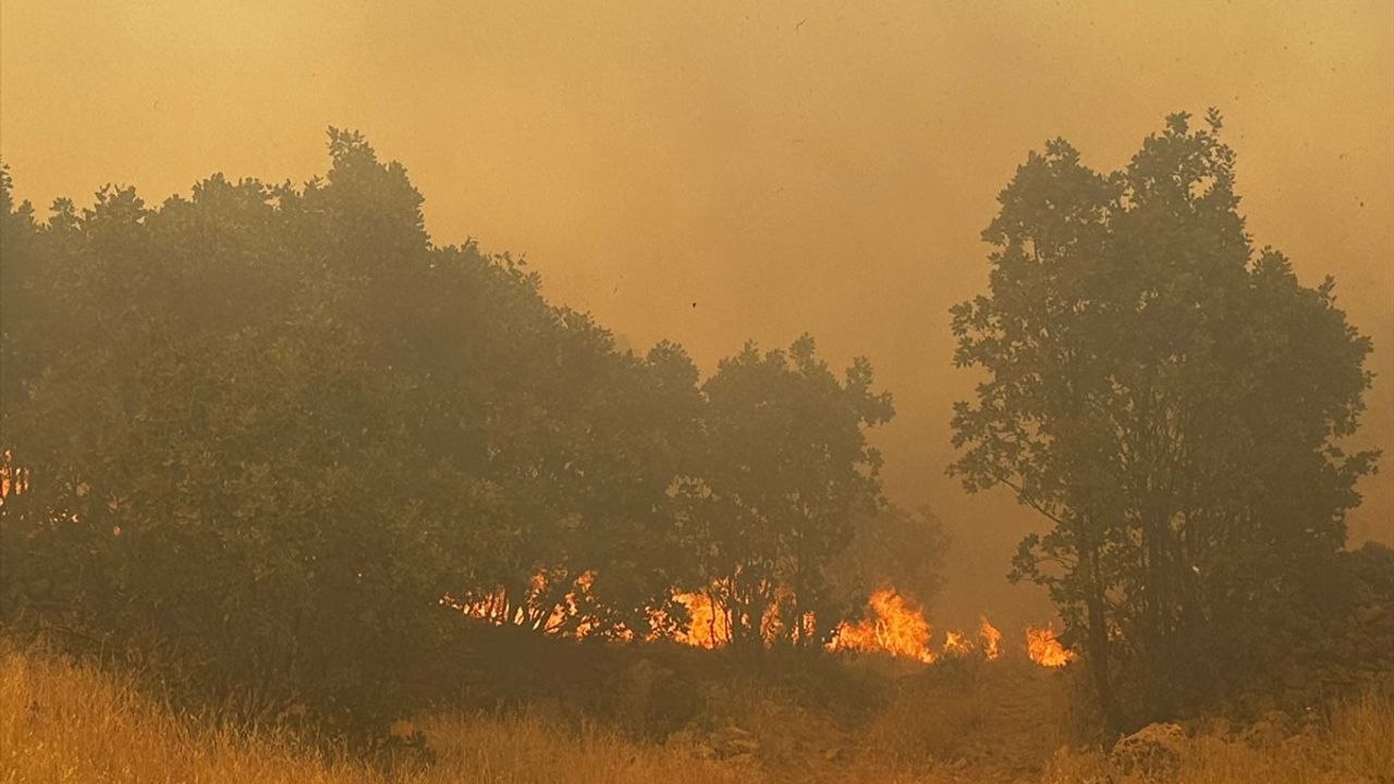 Mardin'de Orman Yangını Kontrol Altına Alındı