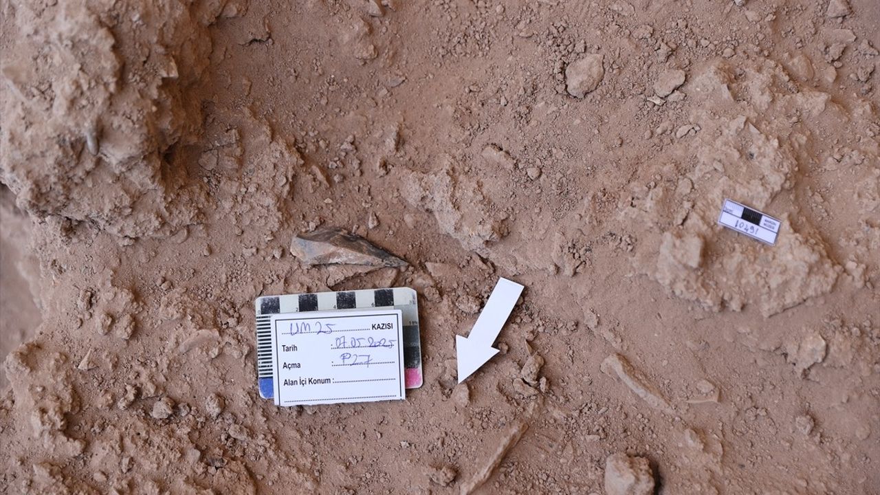 Mardin'deki Uluköy Mağarası'nda Paleolitik Çağ'a Ait Yeni Buluntular Ortaya Çıktı