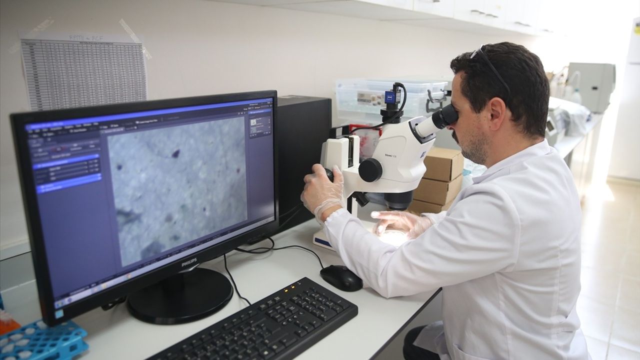 Marmara Denizi'nde Mikroplastik ve Ağır Metallerin Etkisi Araştırılıyor