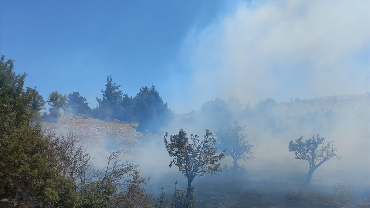 Mersin'de Tarım Arazisinde Yangın Kontrol Altına Alındı