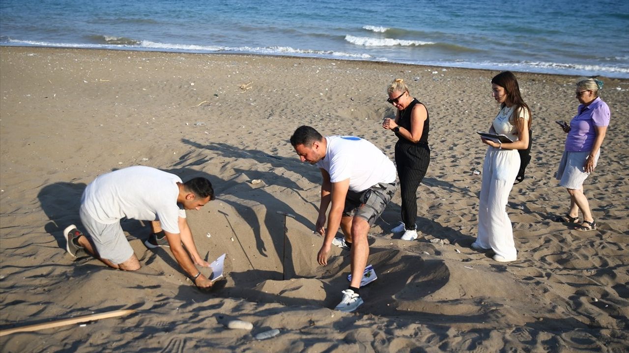 Mersin'de Yeşil Deniz Kaplumbağası Yavruları Denizle Buluşuyor