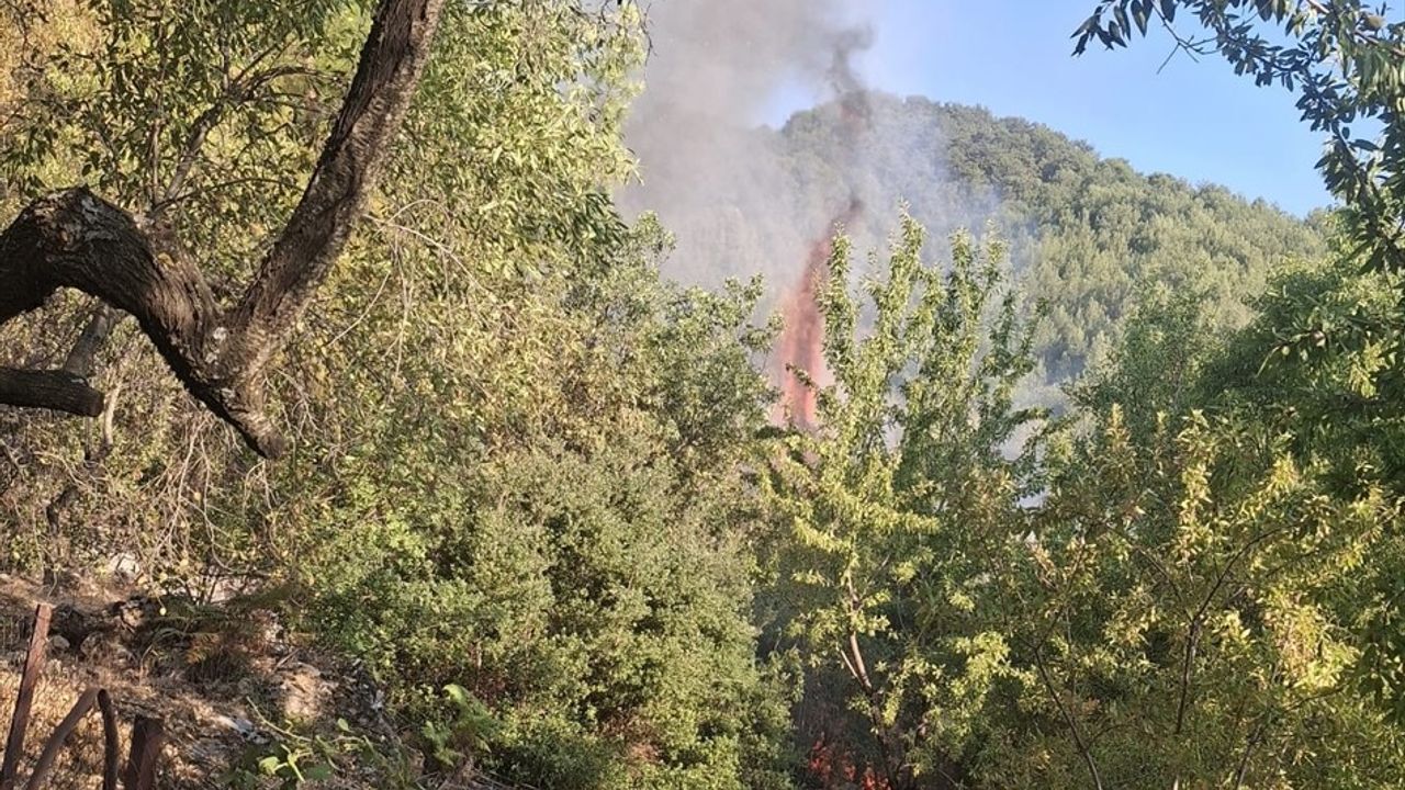 Mersin'in Anamur İlçesinde Orman Yangını Kontrol Altına Alındı