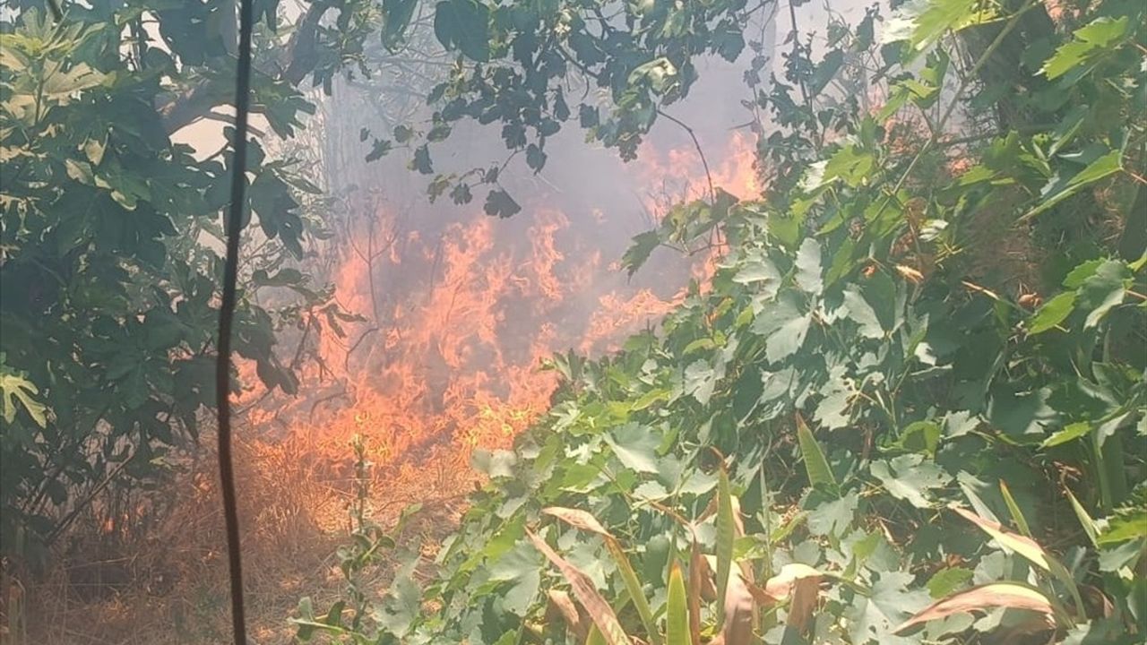 Mersin'in Mut İlçesinde Orman Yangını Kontrol Altına Alındı