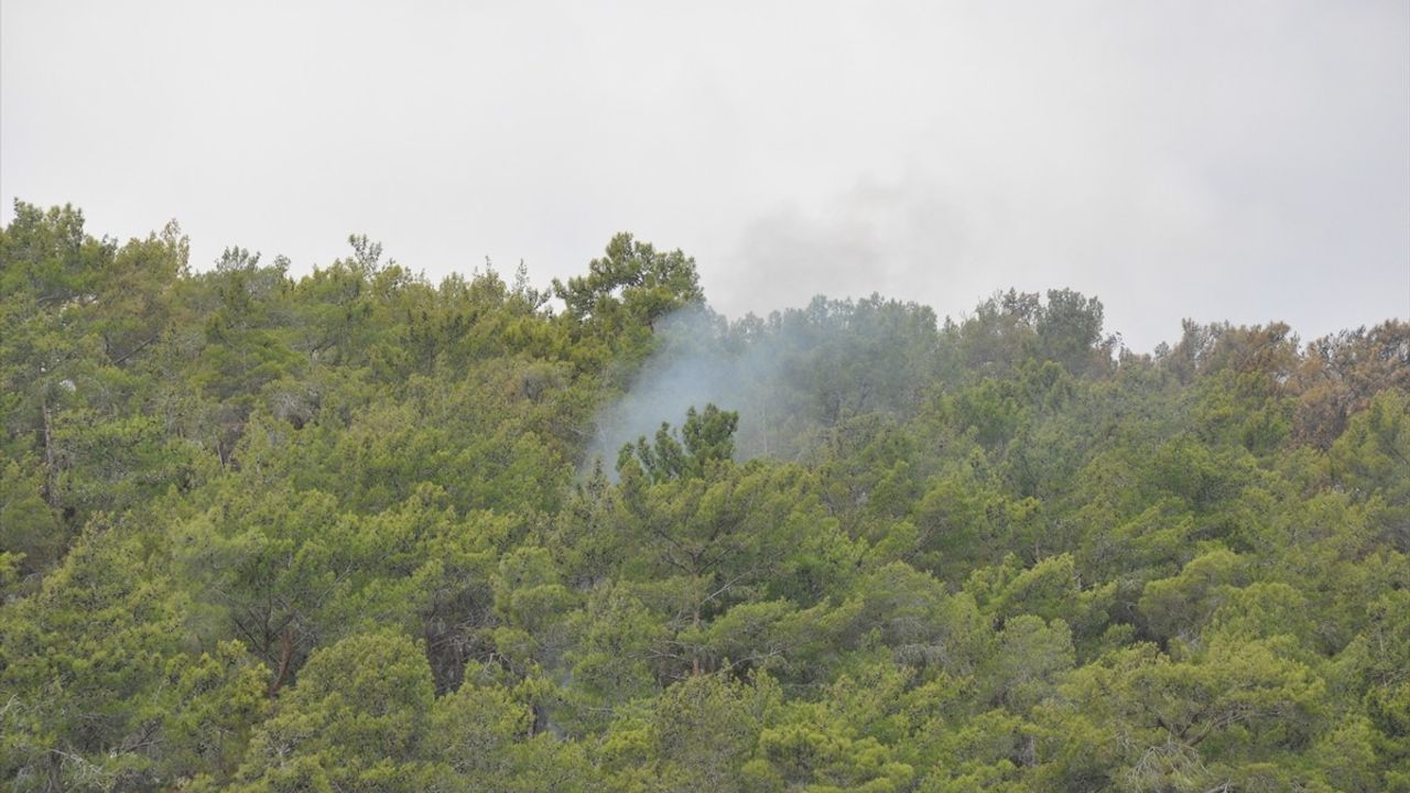 Mersin Silifke'deki Orman Yangını Kontrol Altına Alındı