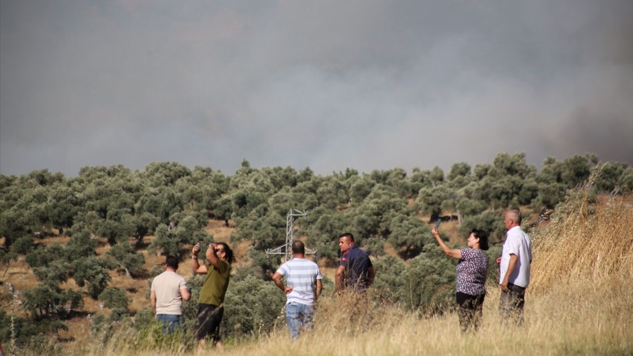 Milas'ta İkinci Orman Yangını Söndürme Çalışmaları Devam Ediyor