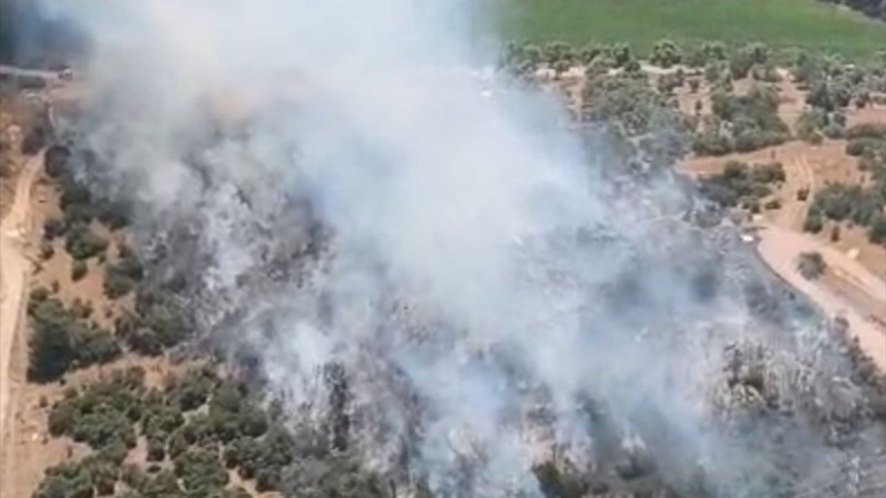 Milas'ta Ziraat Alanında Çıkan Yangın Kontrol Altına Alındı