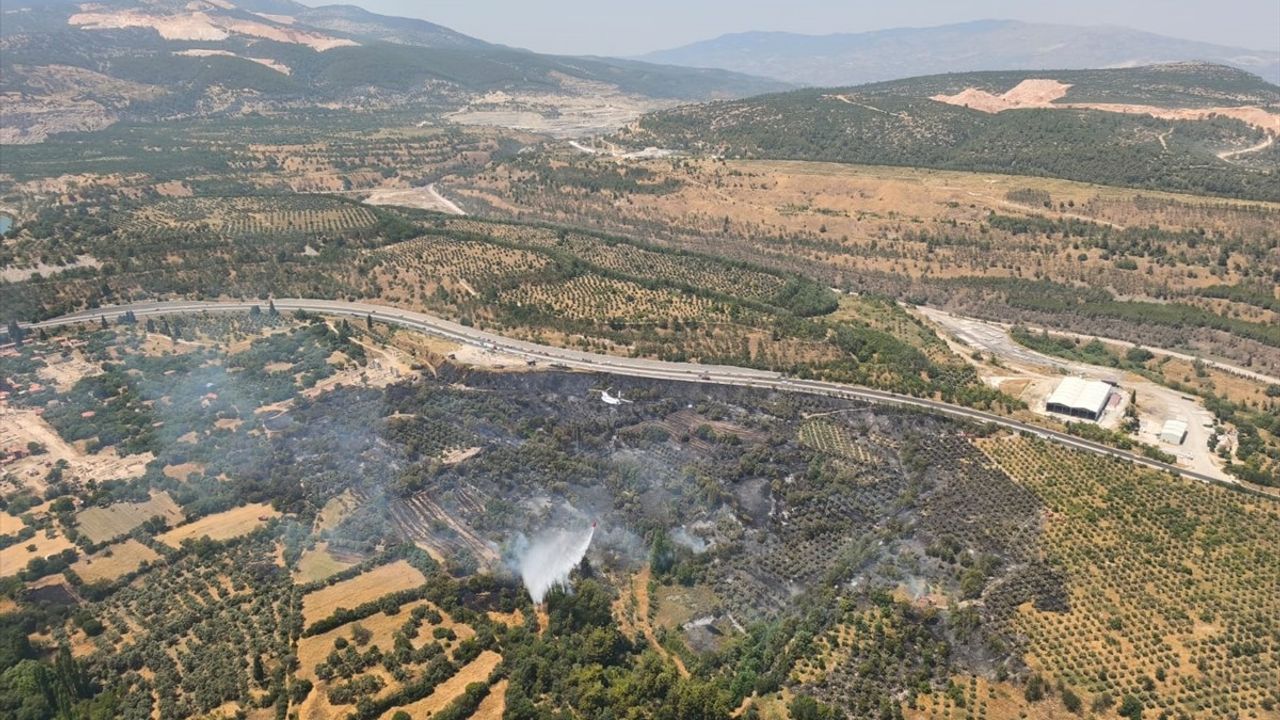 Muğla'da Tarım Arazisinde Çıkan Yangın Kontrol Altına Alındı