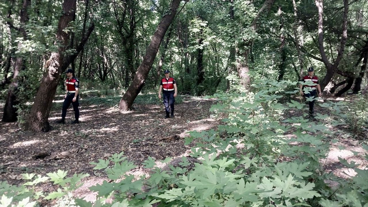 Muğla'daki Sığla Ormanında Yangın Güvenliği İçin Jandarma Görevde