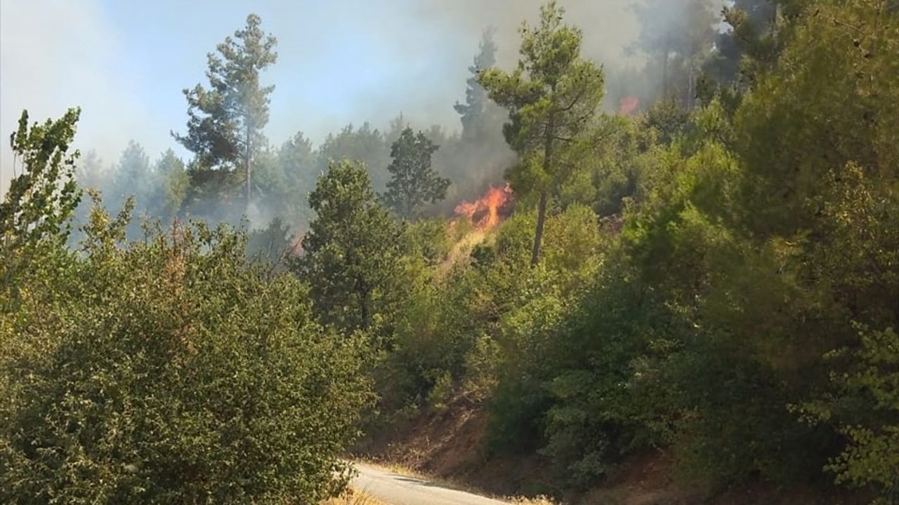 Muğla'nın Menteşe İlçesinde Orman Yangınına Müdahale Devam Ediyor