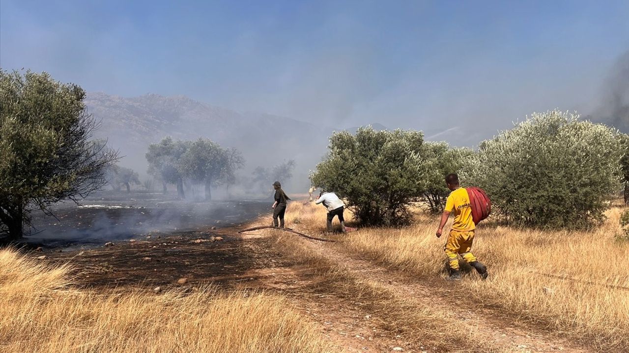 Muğla'nın Milas İlçesinde Orman Yangınına Müdahale Devam Ediyor