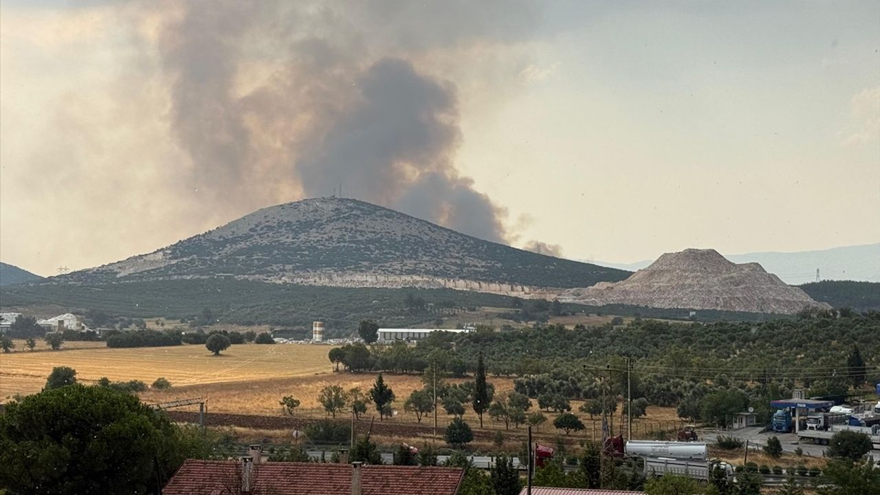 Muğla'daki Orman Yangını Kontrol Altına Alındı