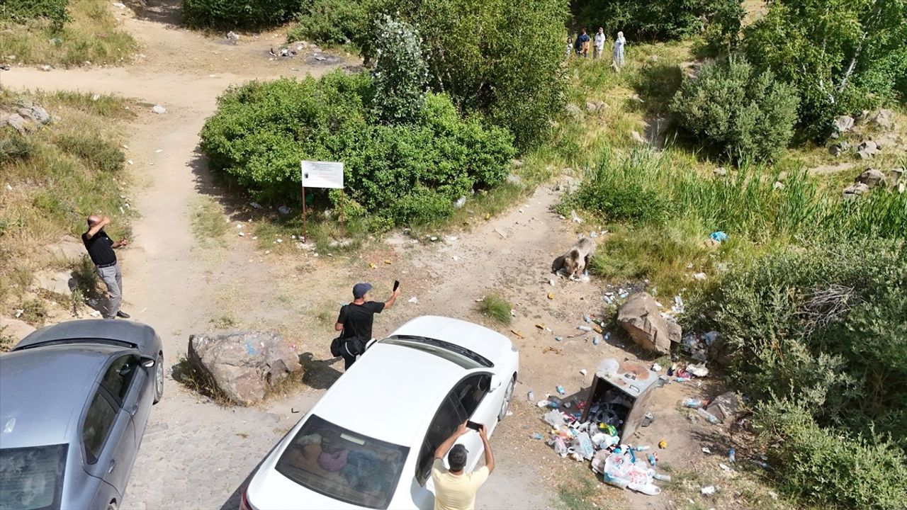 Nemrut Kalderası'ndaki Bozayılar Dron ile Görüntülendi