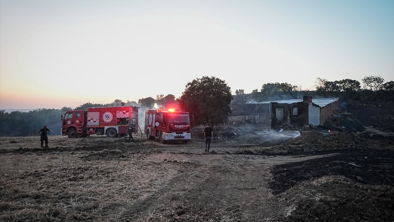 Orman Yangınında Mahsur Kalan Koyun Kurtarıldı