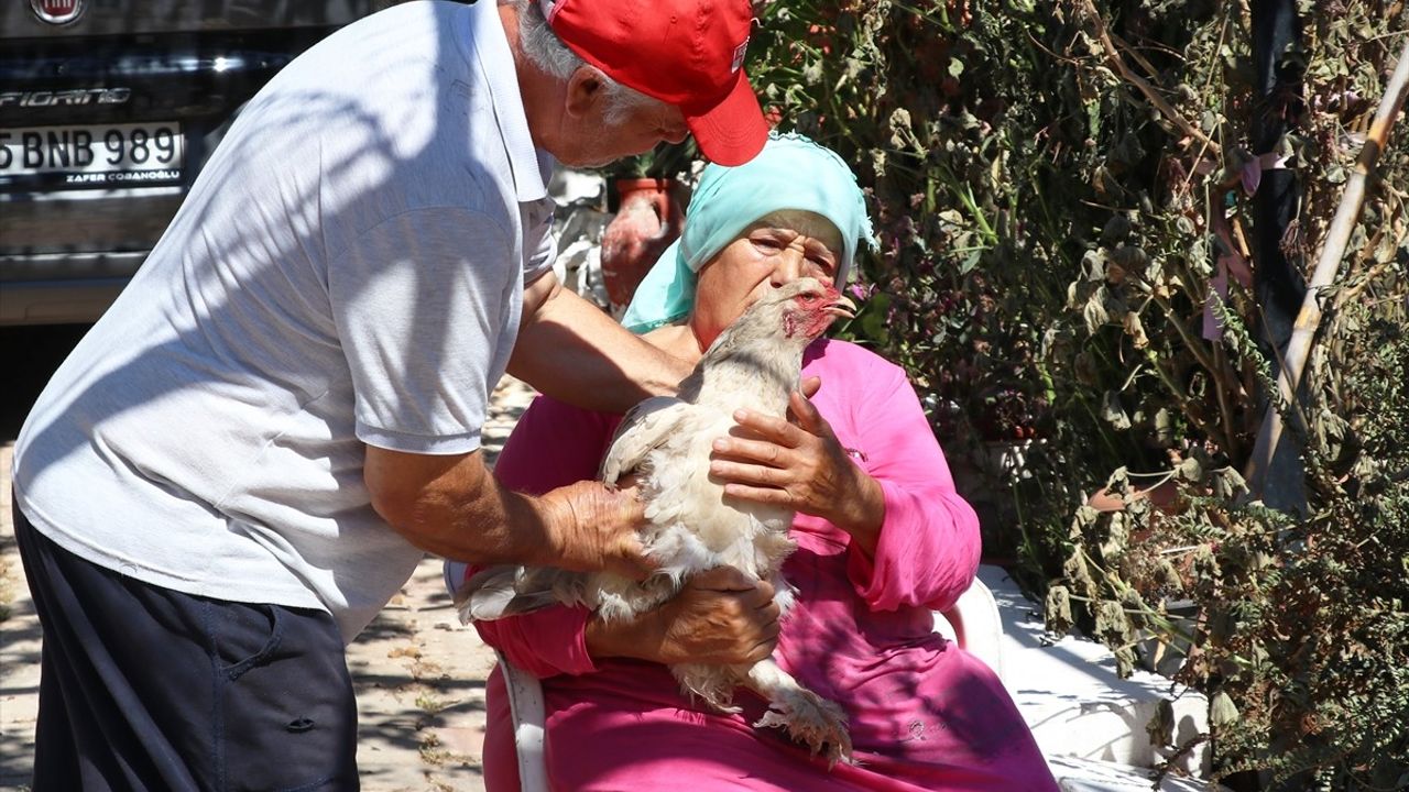 Rüzgarın Yön Değiştirmesiyle Yangından Kurtulan Yaşlı Çift