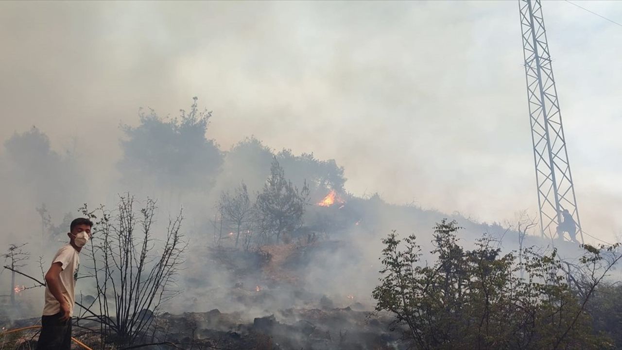 Sakarya-Bilecik Orman Yangını Üçüncü Günde Büyümeye Devam Ediyor