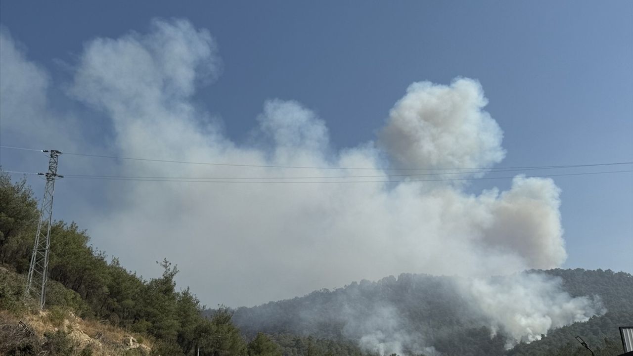 Sakarya-Bilecik Orman Yangınına Üçüncü Gün Müdahale Devam Ediyor