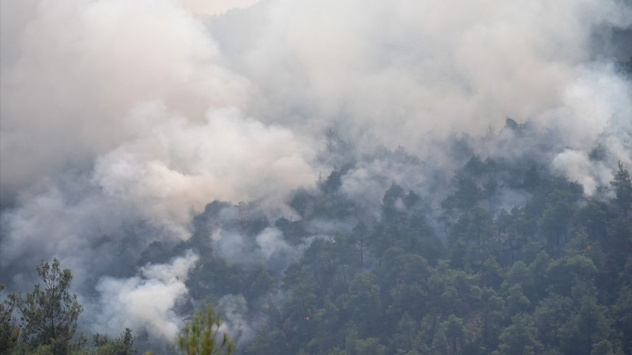 Sakarya-Bilecik Orman Yangınında Müdahale Çalışmaları Sürüyor