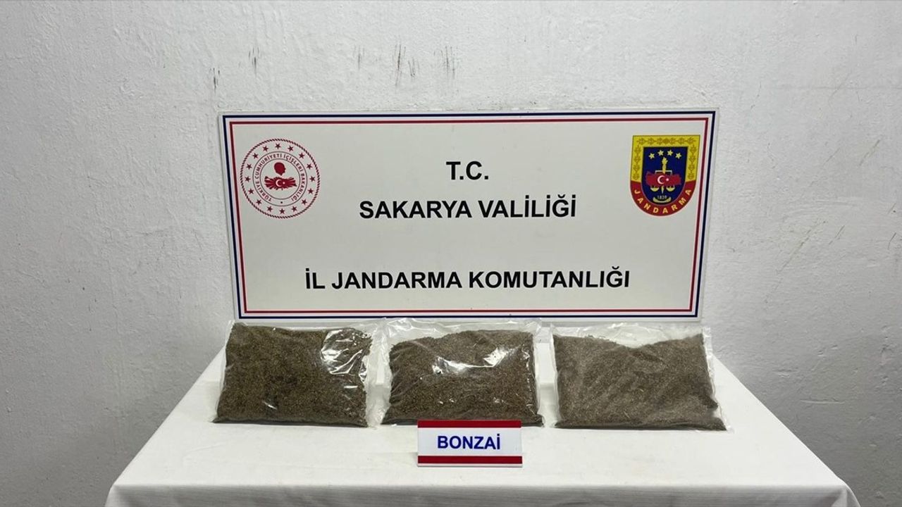 Sakarya'da 2 Kilo 750 Gram Sentetik Uyuşturucu Ele Geçirildi, Zanlı Tutuklandı